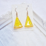 押しフルーツ♡本物のオレンジピアス♡