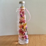 🌸春のおとずれ🌸ハーバリウム
