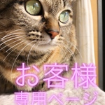 ⭐️miz5ryu様⭐️💓専用ページ💓