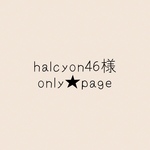 halcyon46様専用