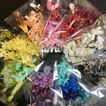 ハーバリウム花材 ドライフラワー 花材 レインボー