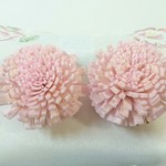 ソーラーフラワー　ポンポン菊　ピンク