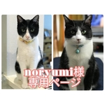 noryumi様専用ページ 2019.01.29