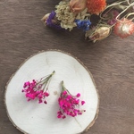 かすみ草🌼ドライフラワーピアス🌼パッションピンク