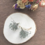ドライフラワー🌼ソフトかすみ草ピアス／イヤリング