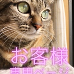⭐️miz5ryu様⭐️