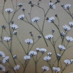 押し花素材 カスミソウ 20ポン