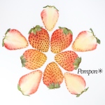白いちご🍓押しフルーツセット