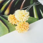 kaori-kym様専用ページ