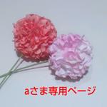 aさま専用ページです。