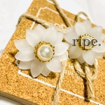 glass  white flower.
