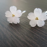 桜のノンホールピアス