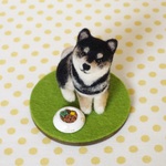 マテできるもん！黒柴テンくん(ちいさい柴犬）
