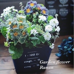 SALE❁ ꫛꫀꪝ✧‧˚アンティークカラーのプリムラの寄せ植え