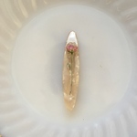 hair clip