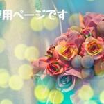 satochan2様 専用出品　ランチ3点セット