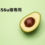an56u様専用