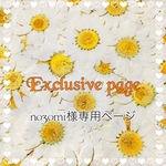 nozomi様に専用ページ
