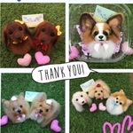 s0801様 犬猫羊毛フェルトストラップ