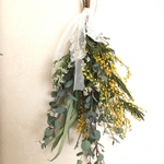 早春のミモザスワッグ　 fresh to dry
