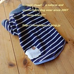 ボーダーの長袖Ｔシャツ