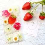 dreamcruiseさま♡専用ページ！