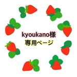 kyoukano様専用ページ