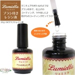 【リュミエラ】仕上げに便利♪【ハケ付きUVレジン液 10ｇ】 コーティング 仕上げ ツヤ出し