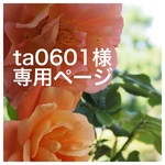 ta0601 様 専用ページ