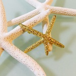 再入荷・スターフィッシュのバレッタ