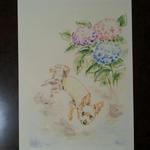 ヨークシャーテリアと紫陽花のレターセット