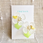 新作＊お花 ちょこんと鳥さん セキセイインコ 樹脂ノンホールイヤリング