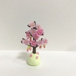 Gさまご予約      桜の木