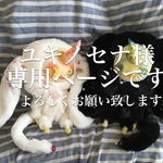 ユキノセナ様専用ページ