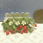ミニチュアの花(苺のフェンスガーデン)
