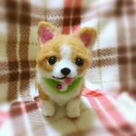 こぎくん