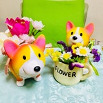 新発売✨令和んちゃん😊🐶ライトコーギーちゃん🐶セット💕