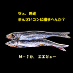 「ミーたん」劇場　其の198　ウルメ丸干しブローチ