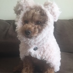 白クマさん風セット