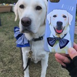 スマートフォンケース │猫 犬 ペット