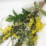 フレッシュ 飾ったまま ドライフラワー  ミモザ  ルスカス かすみ草 スターチス スワッグ
