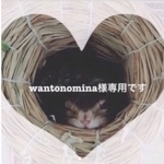 再販リクエスト⭐︎wantonomina様専用⭐︎
