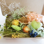 ハーバリウム花材セット  【サービス品･緑橙 】