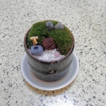 ミニ苔庭園　竹