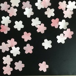 桜色のほのかな雰囲気ただよう世界で一つのキラキラさくら＊３０枚セットで保育園幼稚園の先生にお店でも