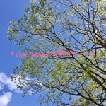 ＊chan-mamaさま専用カート＊