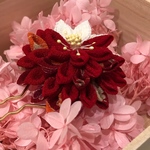 訳あり      はんくす簪