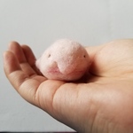 手のひらニュウドウカジカ