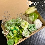 ハーバリウム花材セット ドライフラワー Green♡