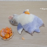 お腹いっぱい！【ボタンインコ】
